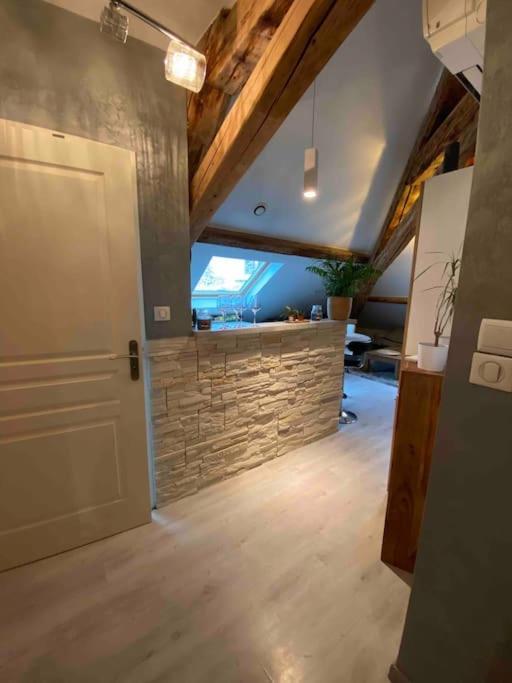 Gap : Centre Ville : Appartement Cosy Exterior foto